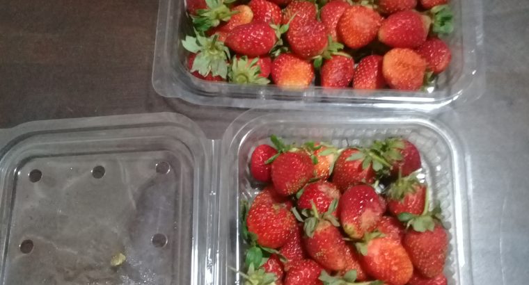 Fresh strawberries