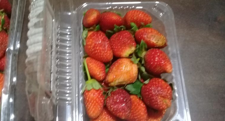 Fresh strawberries