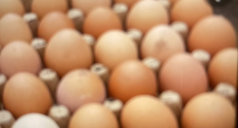 Improved kienyeji eggs