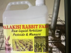 Rabbit urine