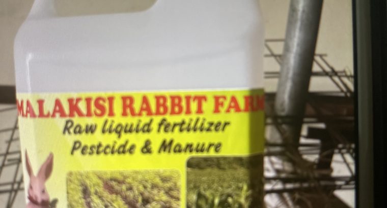 Rabbit urine