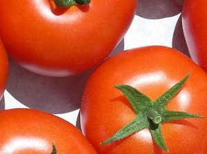 Tomatoes Bareto F1