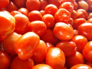 FRESH TOMATOES