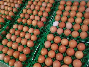 Selling eggs in wholesale