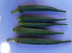 Selling fresh Okra