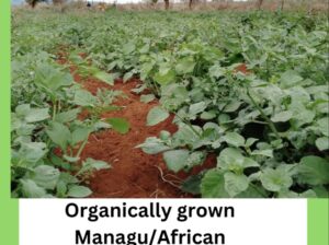 Organically Grown Managu