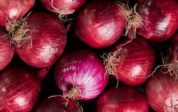 Red onions