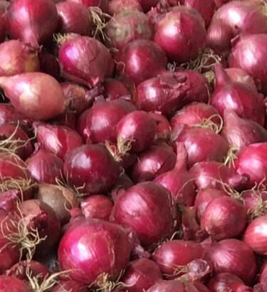 Well dried red onions