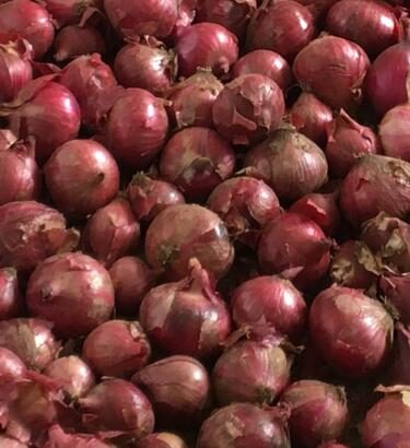 Well dried red onions