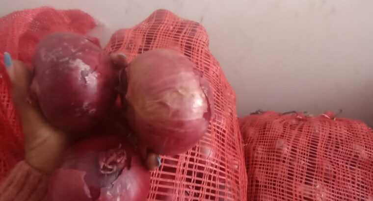 Farm fresh onions