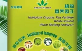 Nutriplant organic fertilizer