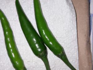 Demon F1 chillies(Green)