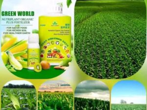 Liquid organic fertilizer