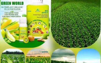 Liquid organic fertilizer