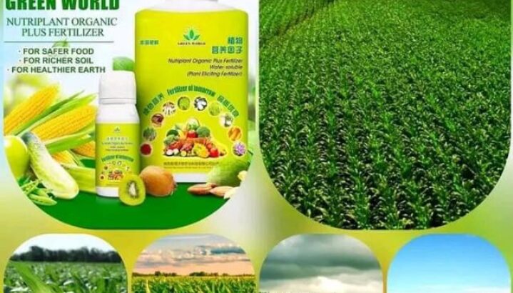 Liquid organic fertilizer