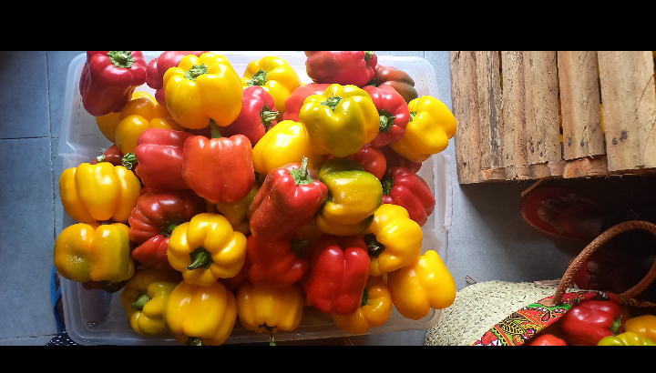 Red and Yellow Capsicum