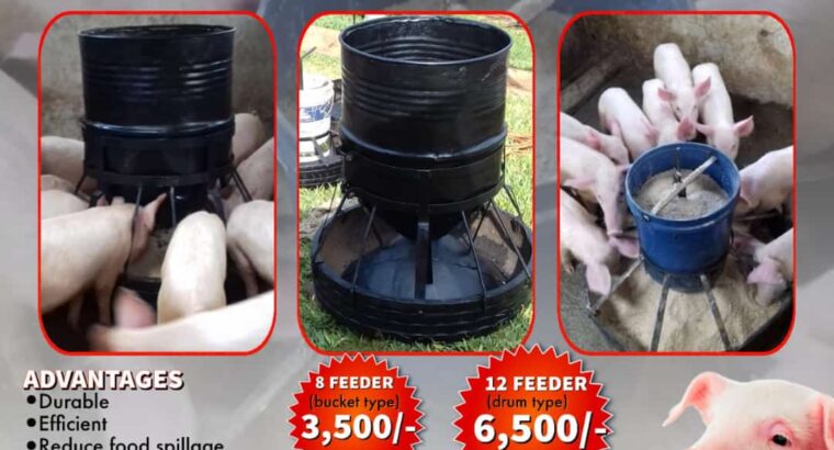 PIG FEEDERS FOR SALE