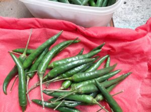 African Birds Eye Chillies