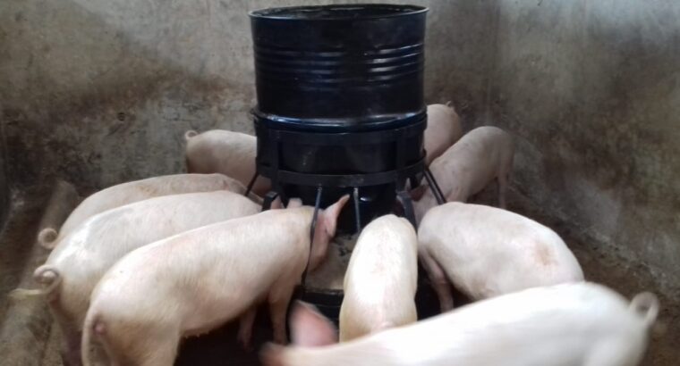 PIG FEEDERS FOR SALE