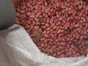 Rose coco beans