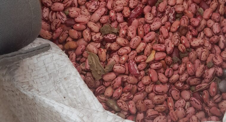 Rose coco beans