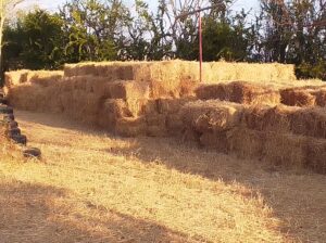 Perfect hay bales on sale