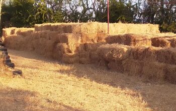 Perfect hay bales on sale