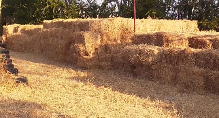 Perfect hay bales on sale