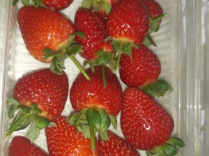 Fresh Strawberries