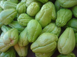 Chayote squash