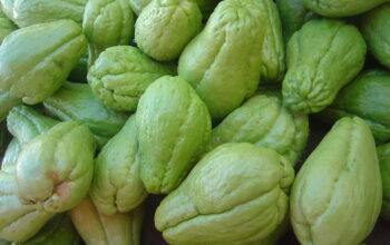 Chayote squash