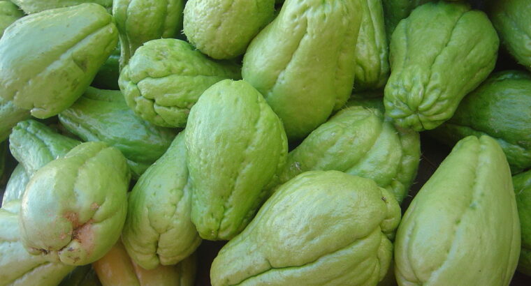 Chayote squash