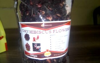 HIBISCUS FLOWERS