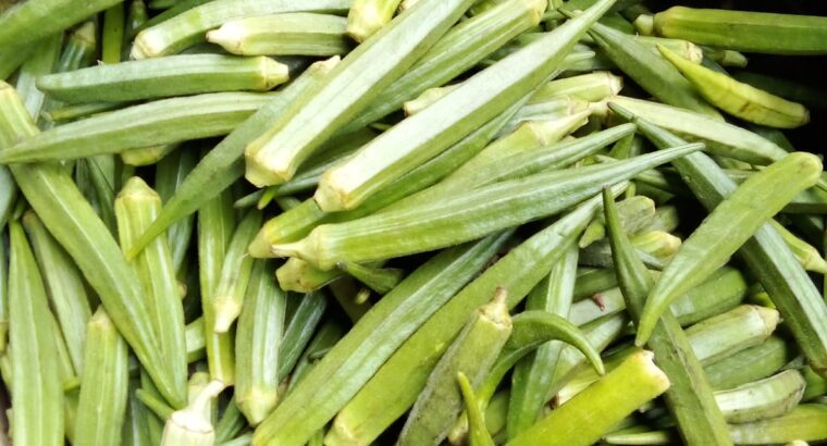 Fresh Okra ( Mabenda )