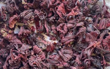 Dried hibiscus flower