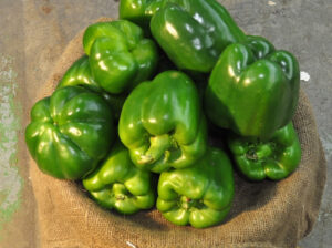 Fresh capsicum