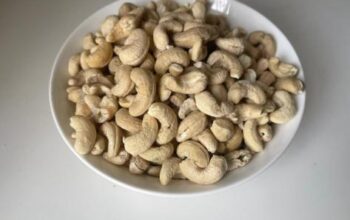 Cashew Nuts