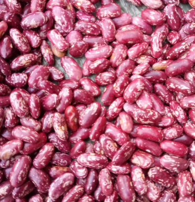 Rose coco beans