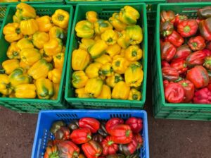 Red & Yellow Capsicum