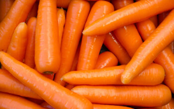 Fresh farm carrots