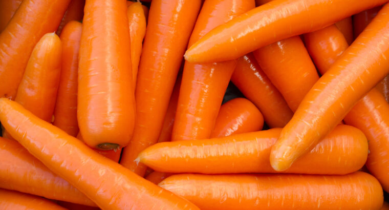 Fresh farm carrots