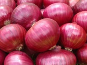 Farm fresh onions