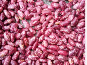 Roscoco beans