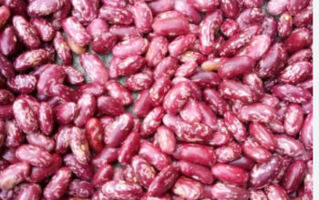 Roscoco beans