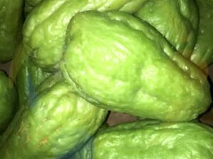 Chayote for sale