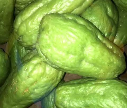 Chayote for sale