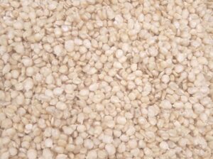 Dry white maize