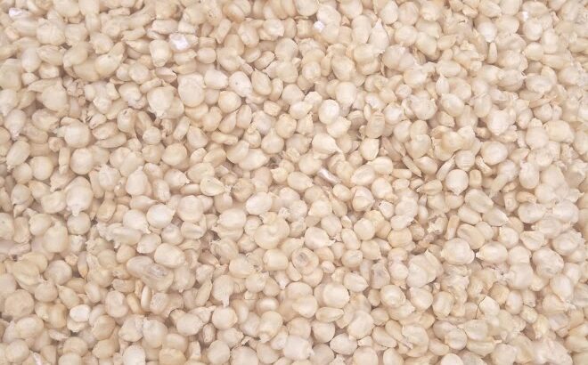 Dry white maize