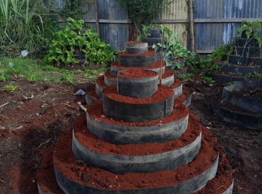 Multistorey Garden