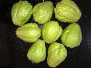 Organic Chayote – Sold out